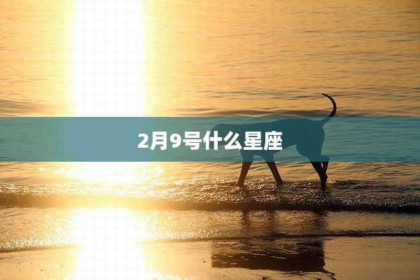 2月9号什么星座