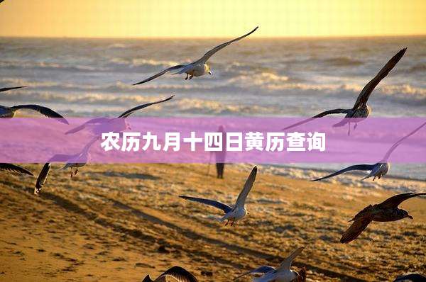 农历九月十四日黄历查询