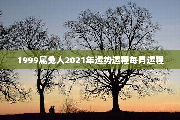 1999属兔人2021年运势运程每月运程