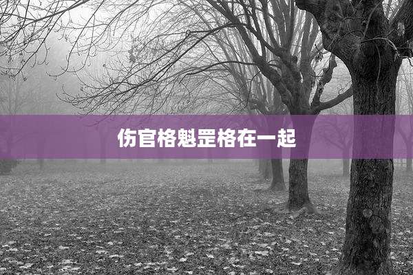 伤官格魁罡格在一起