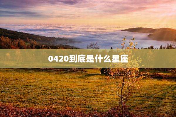 0420到底是什么星座