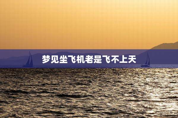 梦见坐飞机老是飞不上天