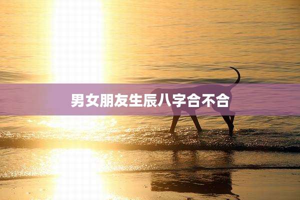 男女朋友生辰八字合不合