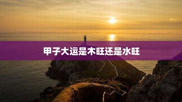 甲子大运是木旺还是水旺