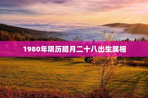 1980年阴历腊月二十八出生属相