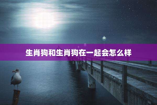 生肖狗和生肖狗在一起会怎么样