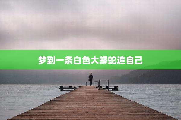 梦到一条白色大蟒蛇追自己