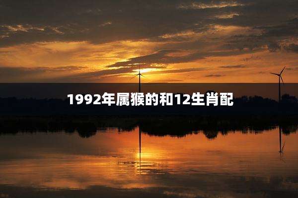 1992年属猴的和12生肖配