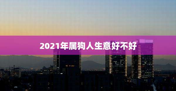 2021年属狗人生意好不好