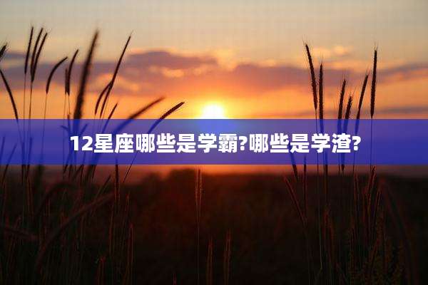 12星座哪些是学霸?哪些是学渣?