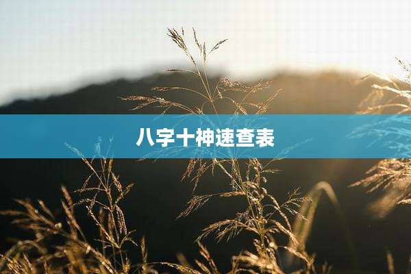 八字十神速查表