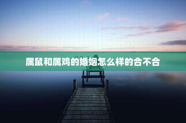 属鼠和属鸡的婚姻怎么样的合不合