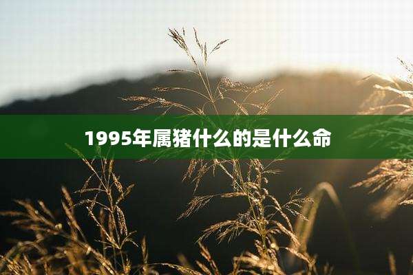 1995年属猪什么的是什么命