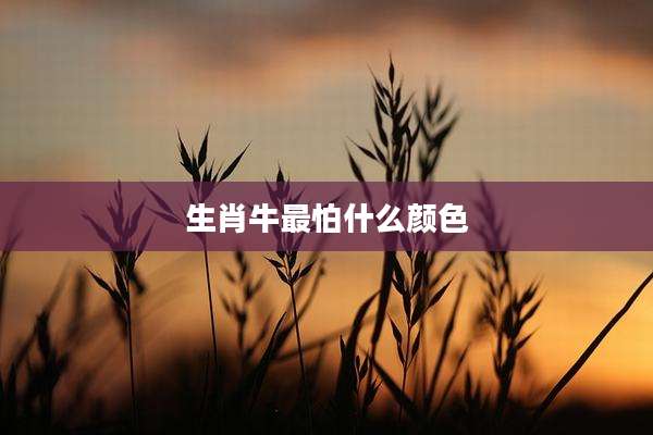 生肖牛最怕什么颜色