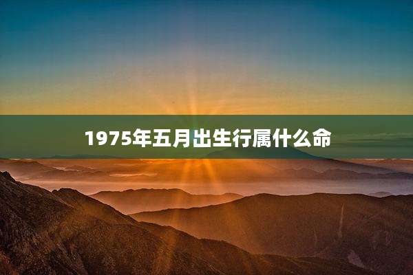 1975年五月出生行属什么命