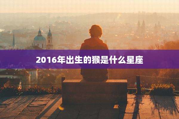 2016年出生的猴是什么星座