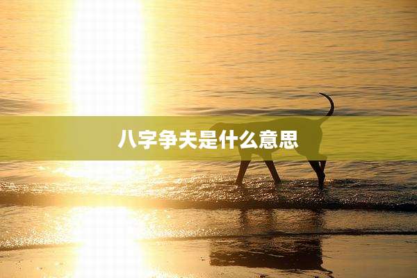 八字争夫是什么意思