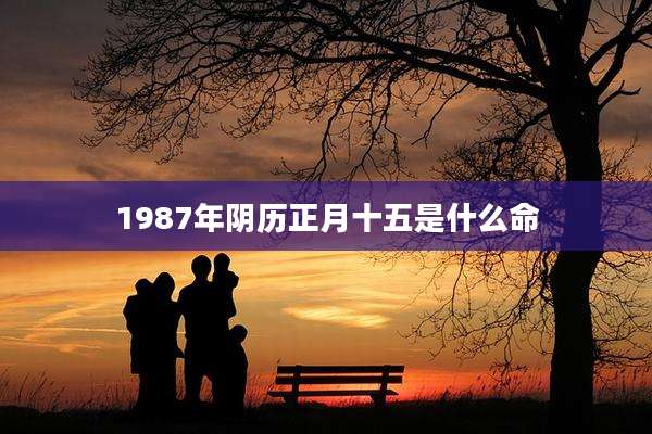 1987年阴历正月十五是什么命