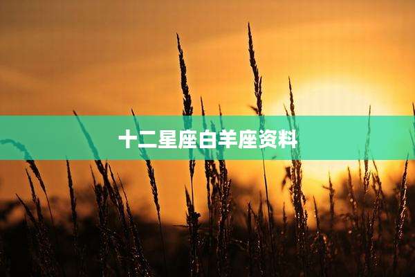 十二星座白羊座资料