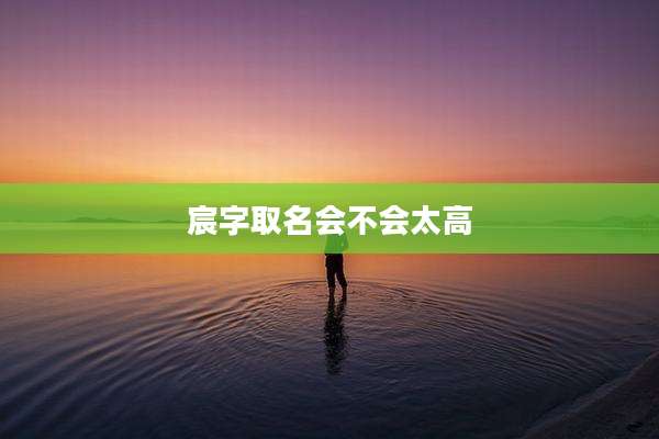 宸字取名会不会太高