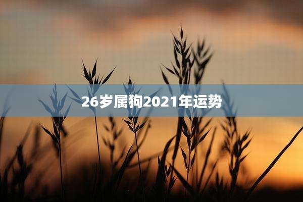 26岁属狗2021年运势