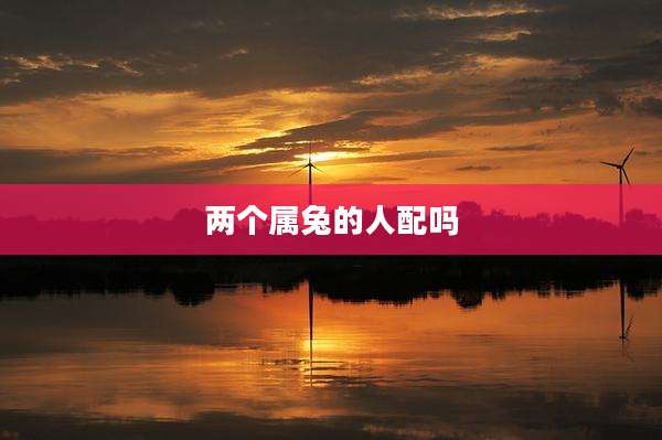 两个属兔的人配吗