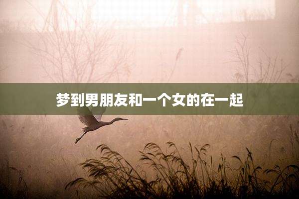 梦到男朋友和一个女的在一起
