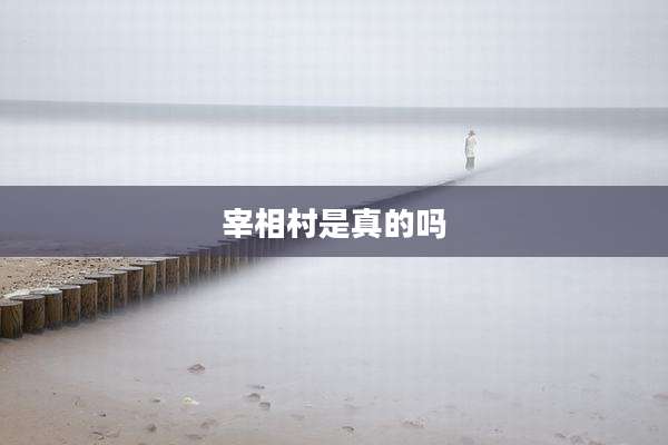宰相村是真的吗