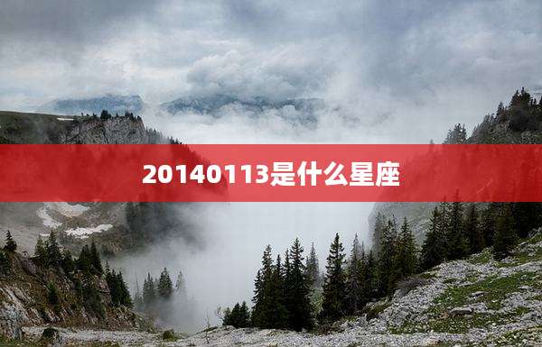 20140113是什么星座