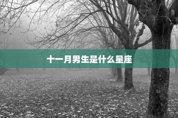 十一月男生是什么星座