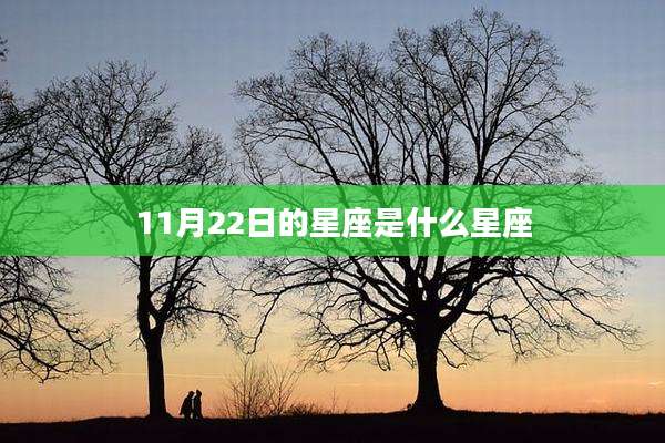 11月22日的星座是什么星座