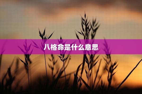 八格命是什么意思