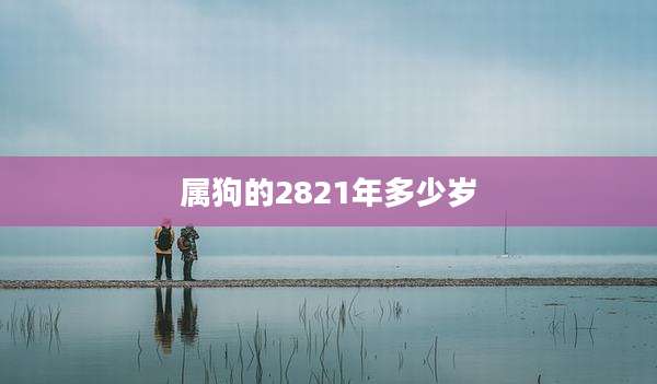 属狗的2821年多少岁