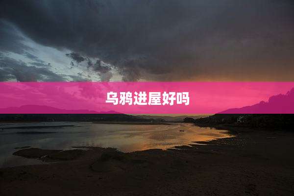 乌鸦进屋好吗