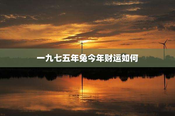 一九七五年兔今年财运如何