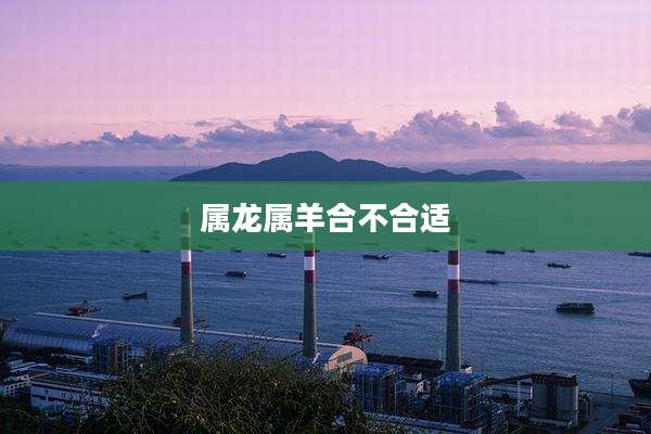 属龙属羊合不合适