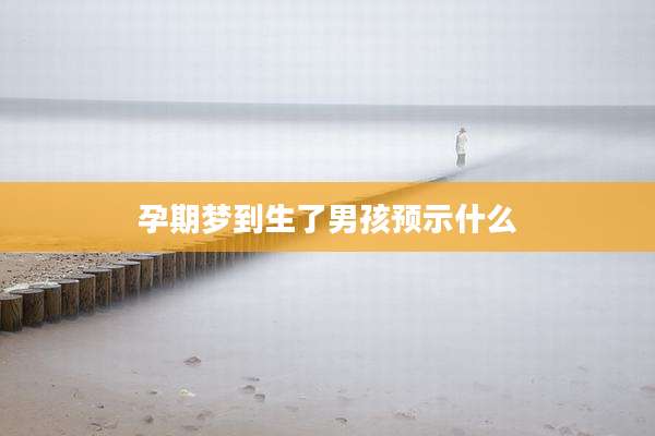孕期梦到生了男孩预示什么