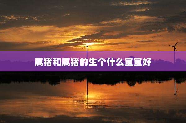 属猪和属猪的生个什么宝宝好