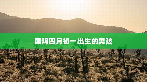 属鸡四月初一出生的男孩