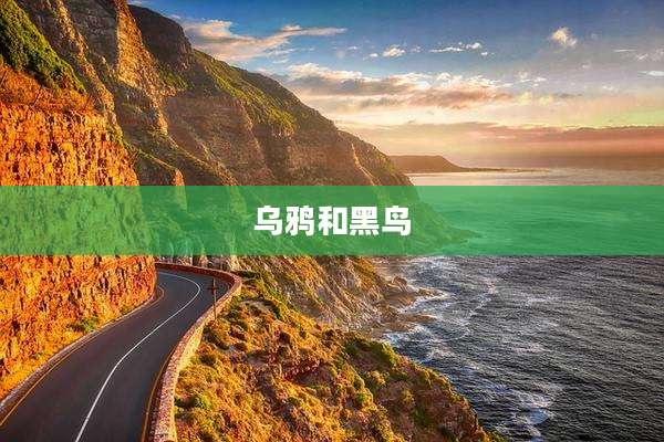 乌鸦和黑鸟