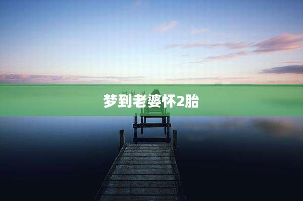 梦到老婆怀2胎