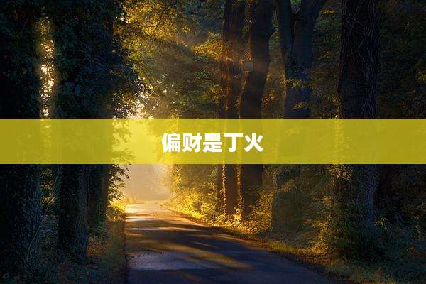 偏财是丁火