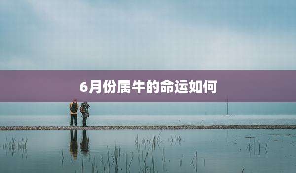 6月份属牛的命运如何