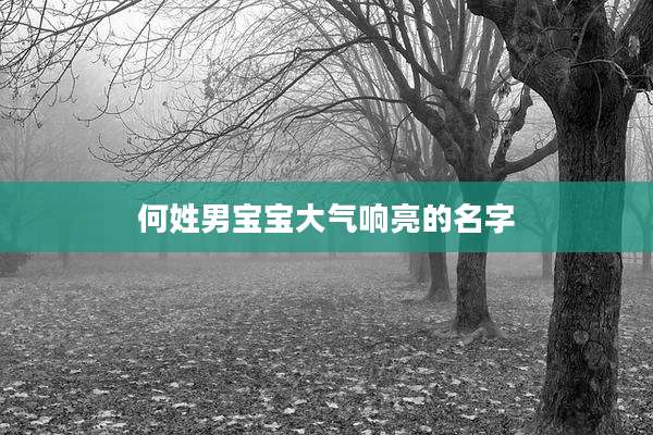 何姓男宝宝大气响亮的名字