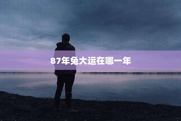 87年兔大运在哪一年