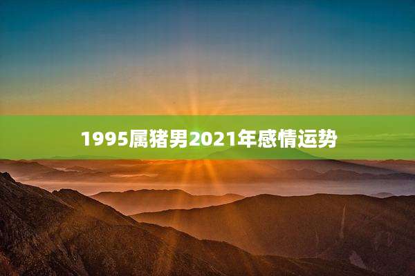 1995属猪男2021年感情运势