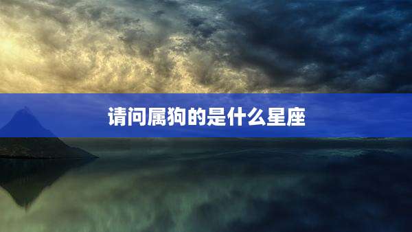 请问属狗的是什么星座
