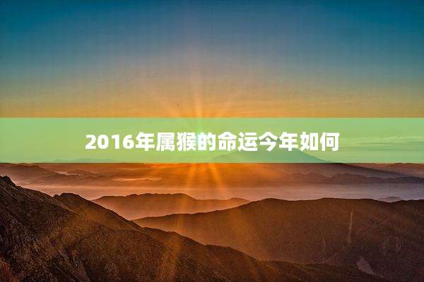 2016年属猴的命运今年如何