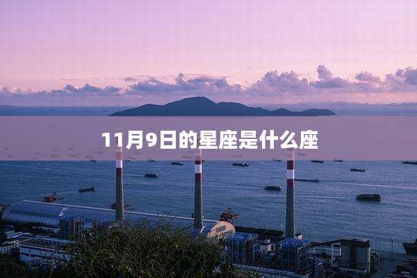 11月9日的星座是什么座