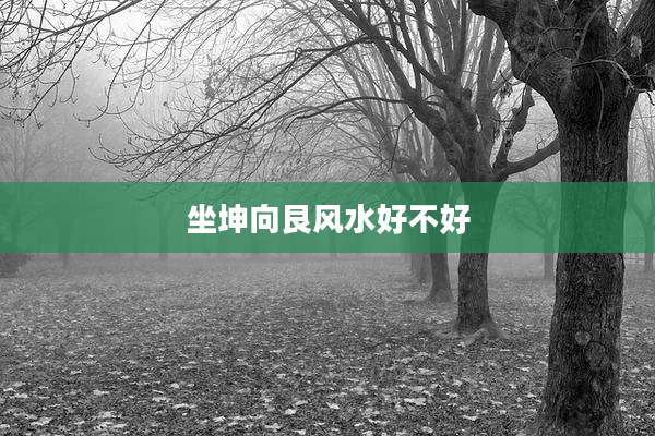 坐坤向艮风水好不好